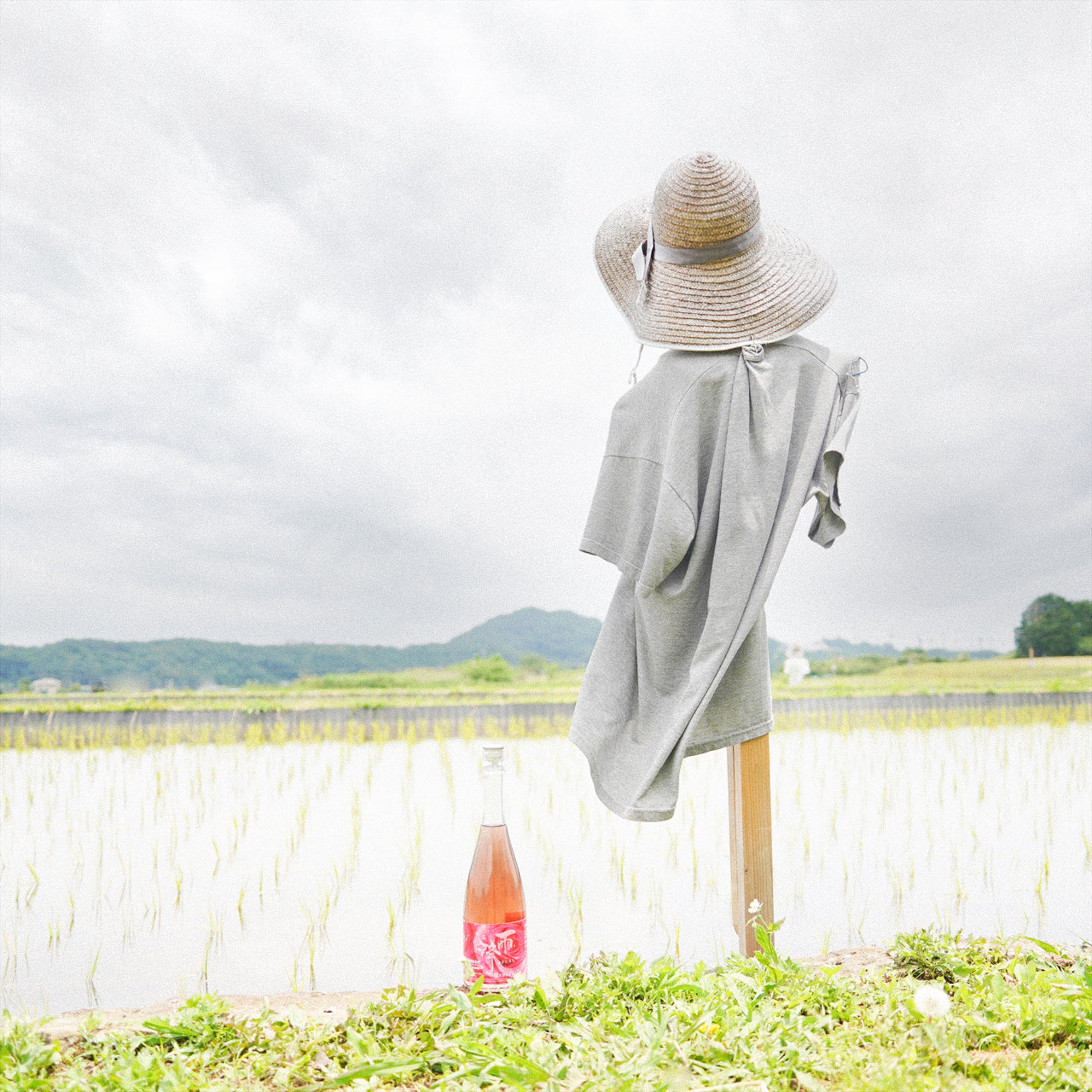 ごはんまま　明治時代　里帰り　瀬戸焼　川本枡吉　花瓶 2011晩秋、ドームやきものワールド(3/8)：瀬戸物(1)：初代・川本